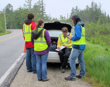 The 2015 KSC conservation intern team prepares to conduct a road mortality survey along Route 123, near the Harris Center’s Virginia Baker Natural Area. (photo © Brett Amy Thelen)
