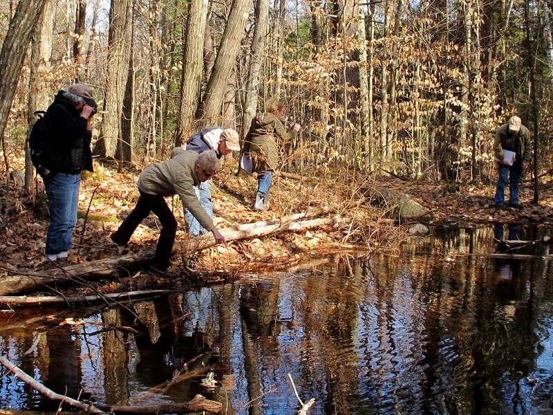 People peer into a vernal pool during a volunteer training. (photo © Brett Amy Thelen)