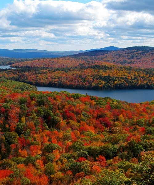 Fall foliage view from East Pinnacle, Nelson, NH  (photo © Brett Thelen)