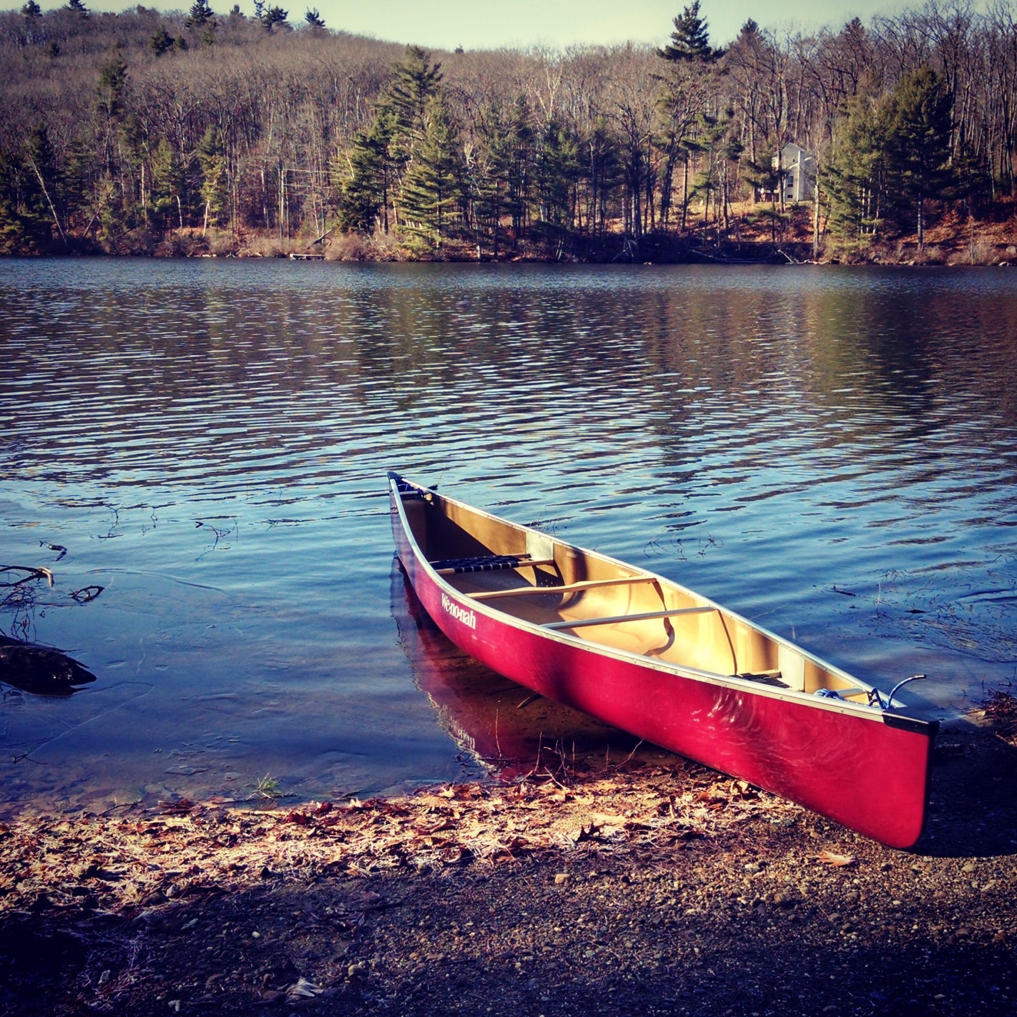 A canoe sits poised for action at the edge of Childs Bog in Harrisville.