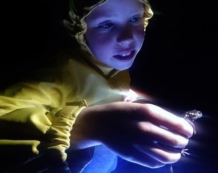 A young Crossing Brigade volunteer gazes in wonder at a spotted salamander. (photo © Brett Amy Thelen)