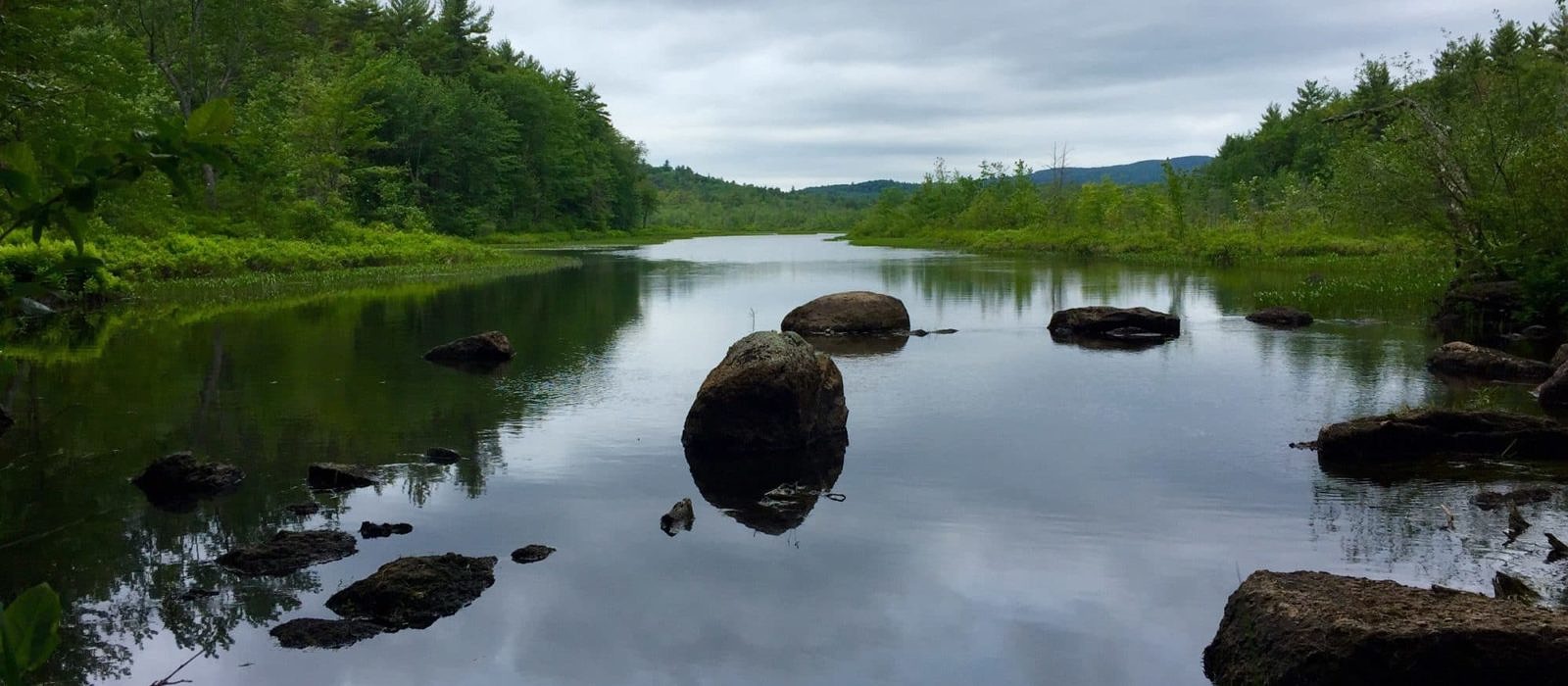 Dinsmore Pond, as viewed from the newly conserved Hiroshi Land. (photo © Will Holden)