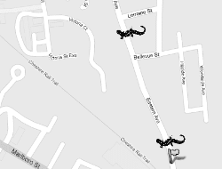 A map of the Eastern Avenue amphibian crossing site in Keene, NH