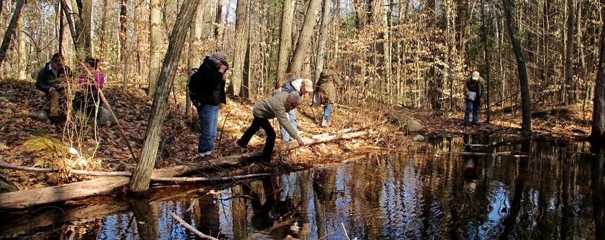 Volunteers look for amphibian egg masses from the edge of a vernal pool. (photo © Brett Amy Thelen)