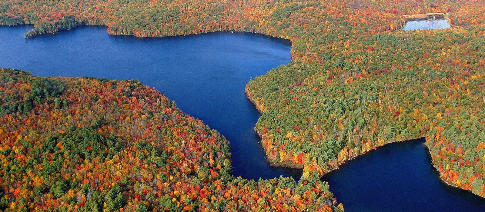 An aerial view of Spoonwood Pond, Nubanusit Lake, and surrounding conservation lands in full autumn foliage (photo © Eric Aldrich)