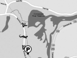 A map of the Summer Street amphibian crossing site in Peterborough, NH