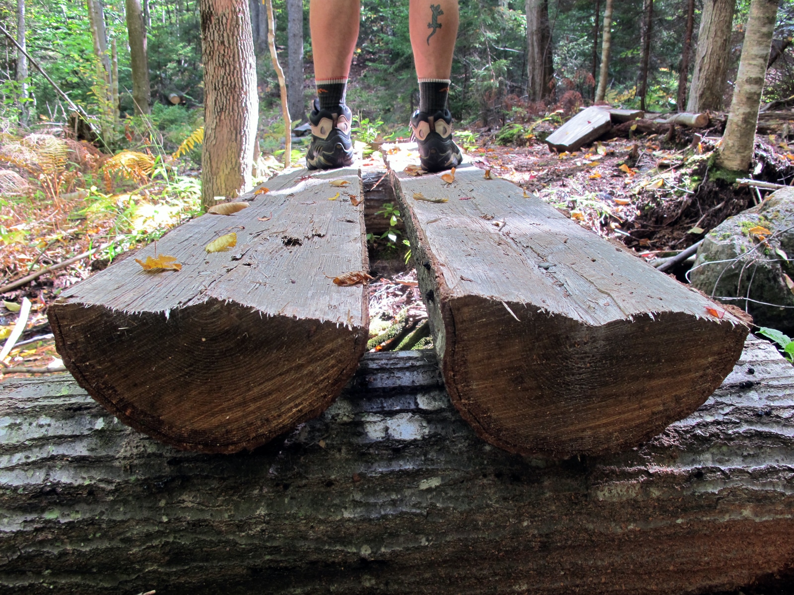 A pair of feet on a wooden footbridge. (photo © Brett Amy Thelen)