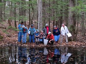A group of people stand at the edge of a vernal pool, looking into the the water. (photo © Brett Amy Thelen)