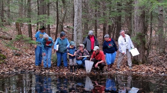Community scientists look for amphibian eggs during a Vernal Pool Project volunteer training. (photo © Brett Amy Thelen)