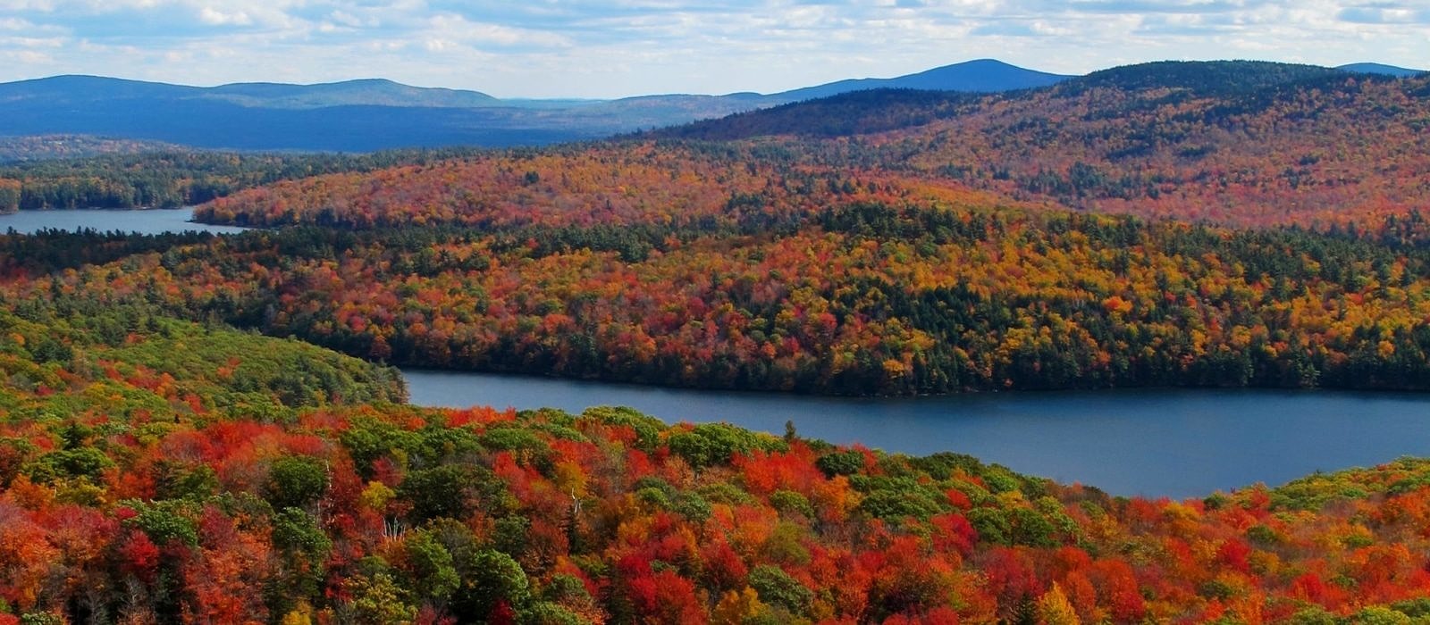 A scenic view of Spoonwood Pond and surround woodlands in fall foliage. (photo © Brett Amy Thelen)
