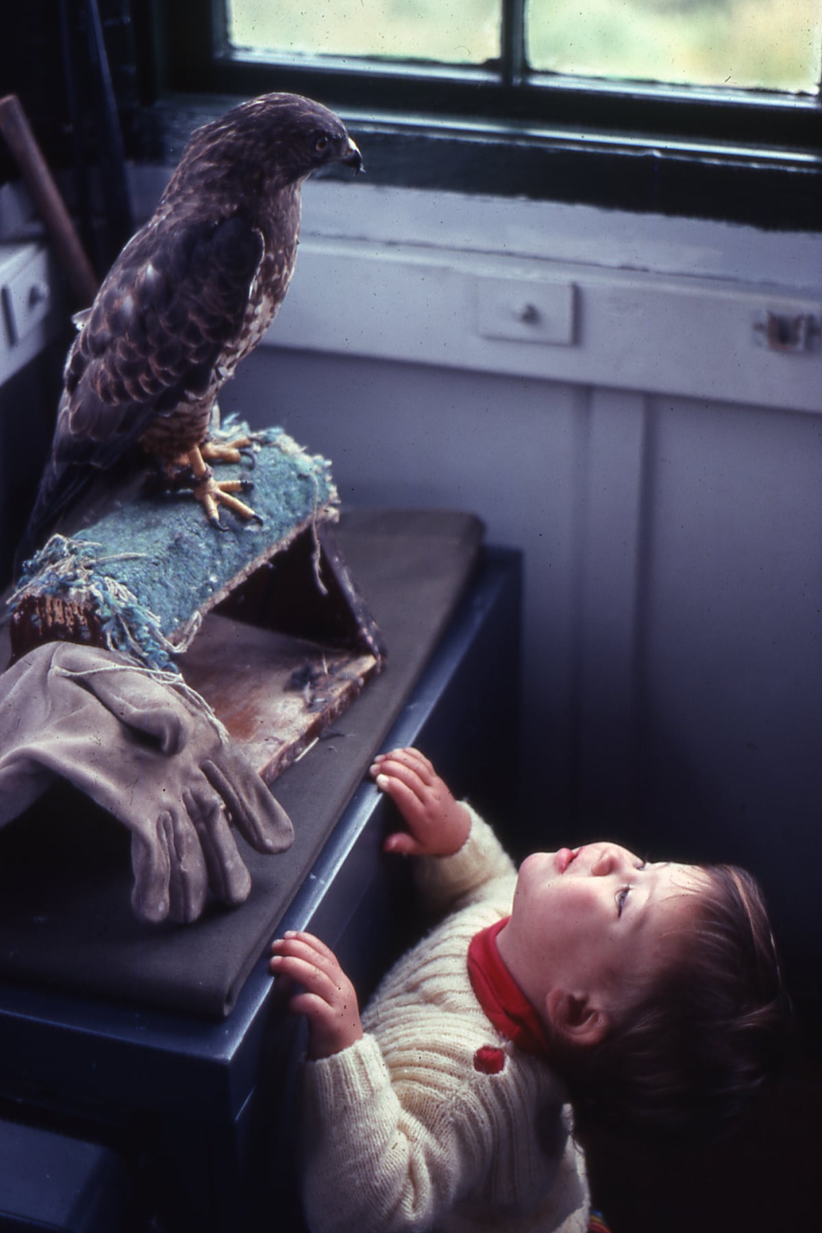 A young visitor to the Harris Center in the 1980s.