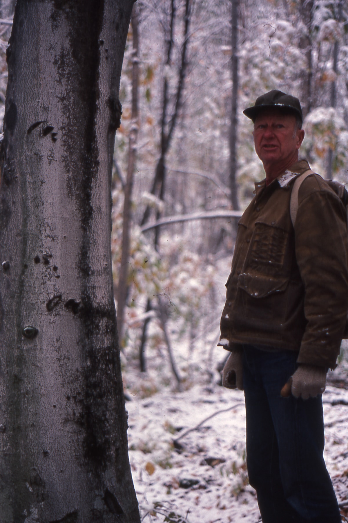 John Kulish stands next to a bear-clawed beech.