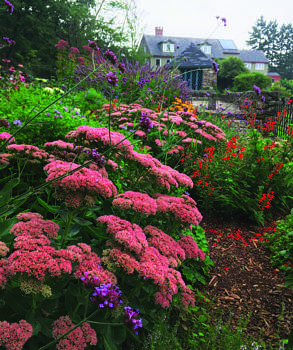 The pollinator garden in mid-summer bloom. (photo © Emily Lord / Stewardship Network: New England)
