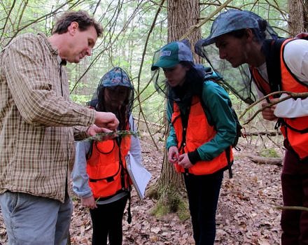 Harris Center Director Jeremy Wilson trains the internship team in tree identification and forest community inventory techniques. (photo © Brett Amy Thelen)