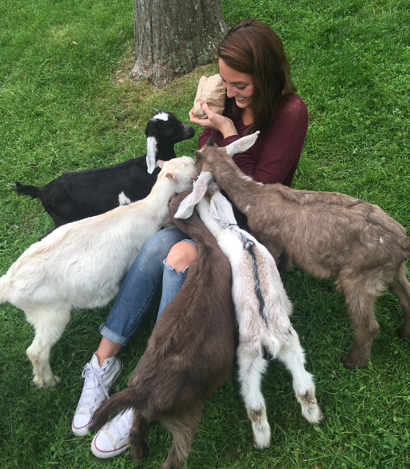 Mickayla Johnston feeds a bevy of goats.