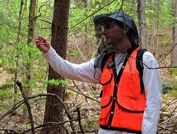 Rob Lanfranchi uses a prism as part of a forest community inventory.