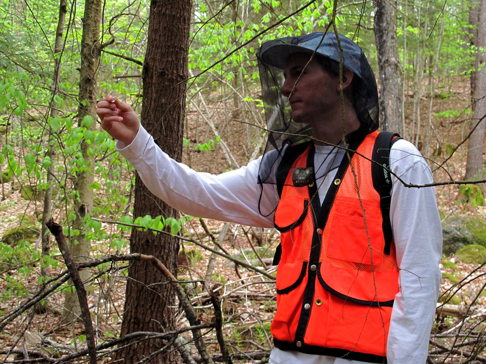 Rob Lanfranchi uses a prism to conduct a forest inventory on the Harris Center's Hiroshi land.