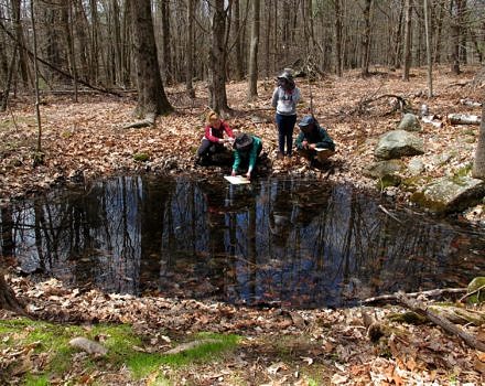 The internship team documents a vernal pool on Harris Center-conserved land. (photo © Brett Amy Thelen)