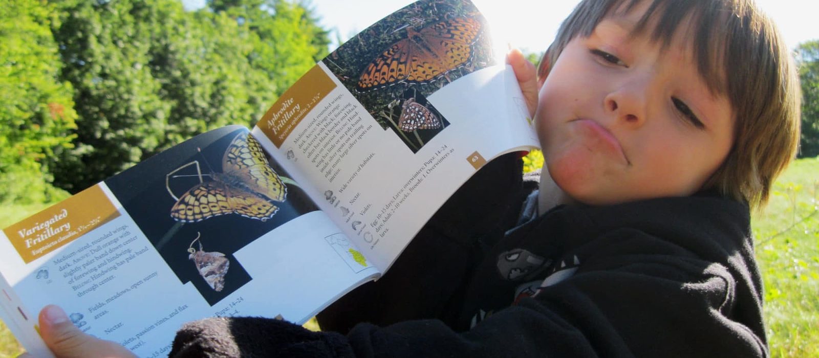 A young naturalist explores a field guide to butterflies. (photo © Cathy Carabello)