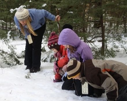 Harris Center naturalist Polly Pattison searches for wildlife tracks in the snow with elementary school students. (photo © Harris Center for Conservation Education)