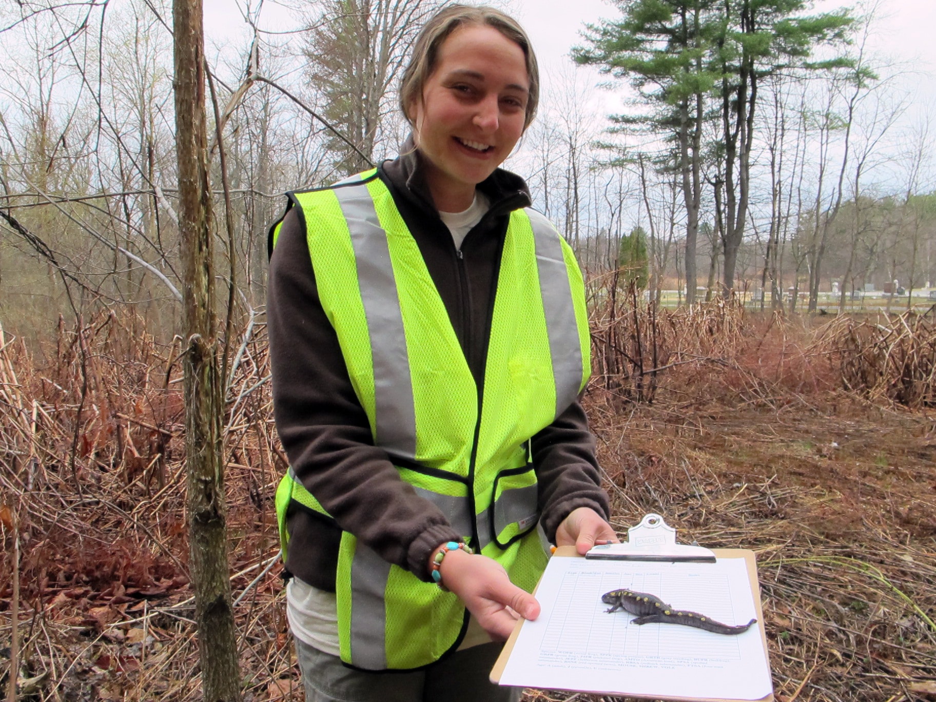 Student intern Alex Kirk shows off a spotted salamander that she removed from our pitfall trap array at North Lincoln Street. (photo © Brett Amy Thelen)
