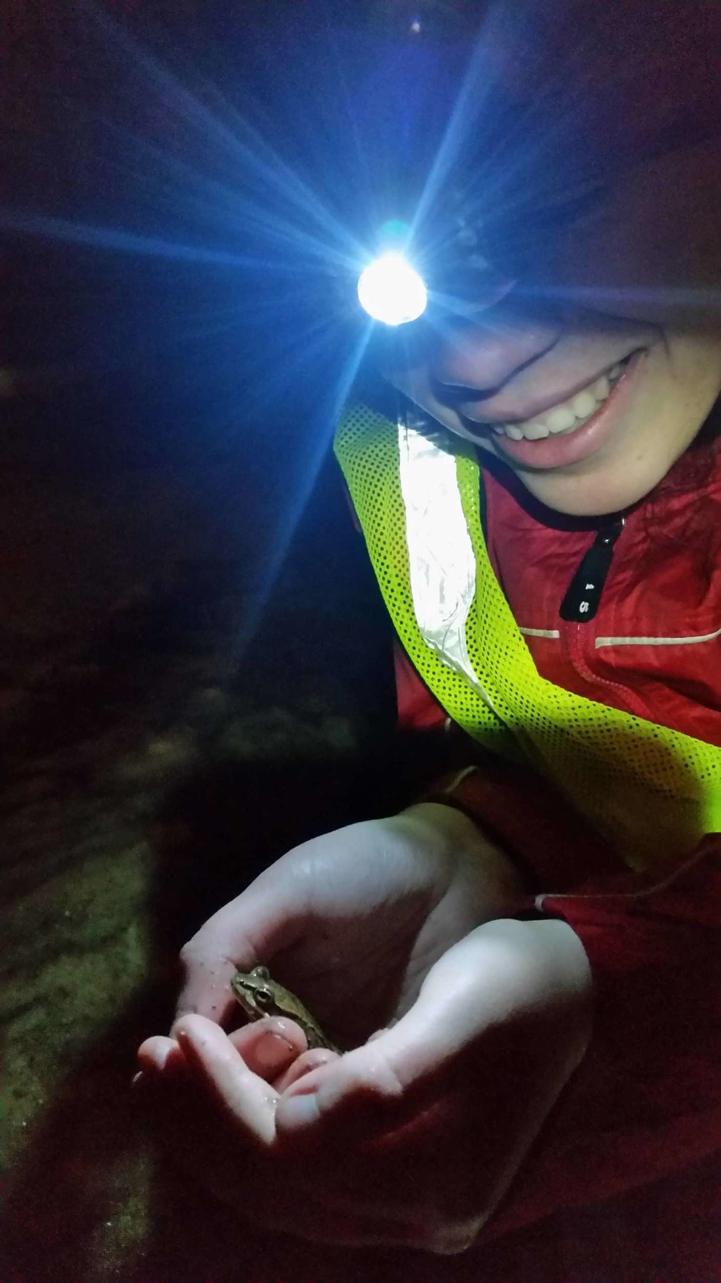 A Salamander Crossing Brigade volunteer holds a wood frog. (photo © Summer Brooks)