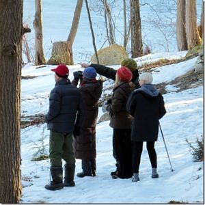 A group of birders participate in the Christmas Bird Count. (photo © Ted Leach)