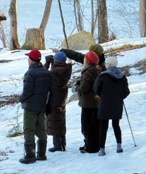 Birders join in the Christmas Bird Count fun. (photo © Ted Leach)