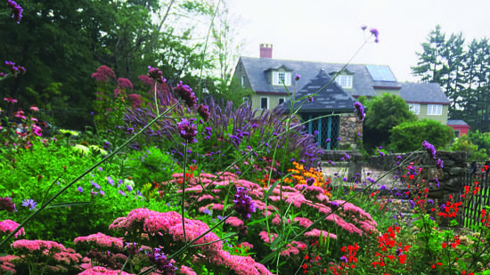 The pollinator garden, in summer bloom. (photo © Emily Lord)