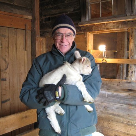 Sandy Greene holds a newborn lamb.