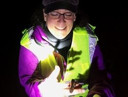 Brett Amy Thelen helps a spotted salamander across the road on a Big Night.