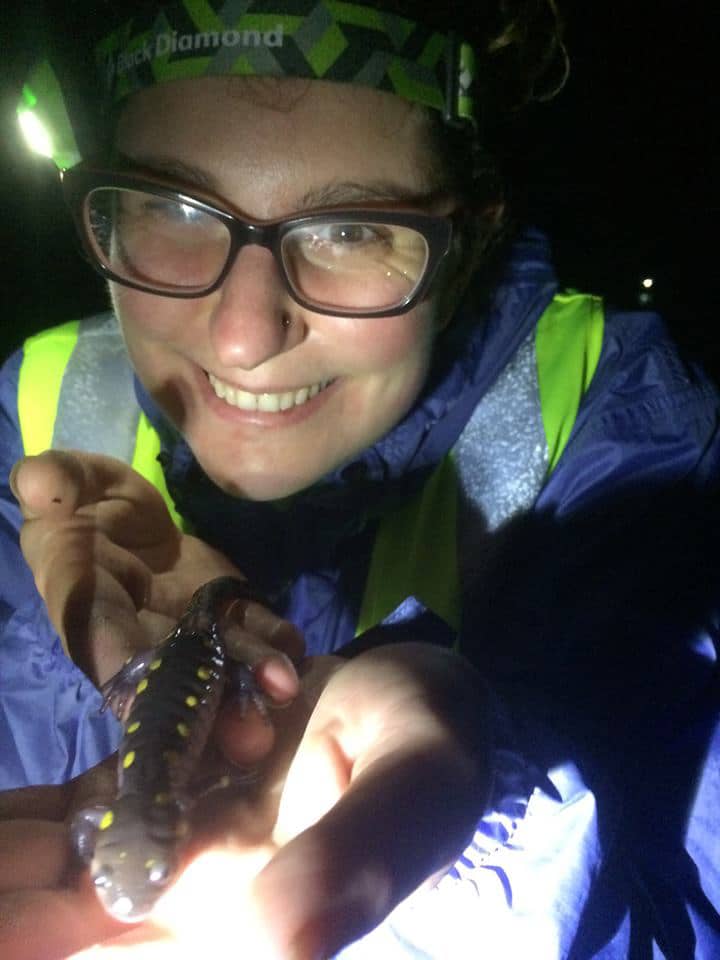 A Salamander Brigade volunteer is stoked to help a spotted salamander on its way. (photo © Jess Baum)