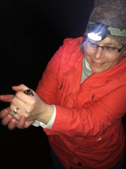 A new Crossing Brigade volunteer is excited to find her first spotted salamander. (photo © Patty Farmer)