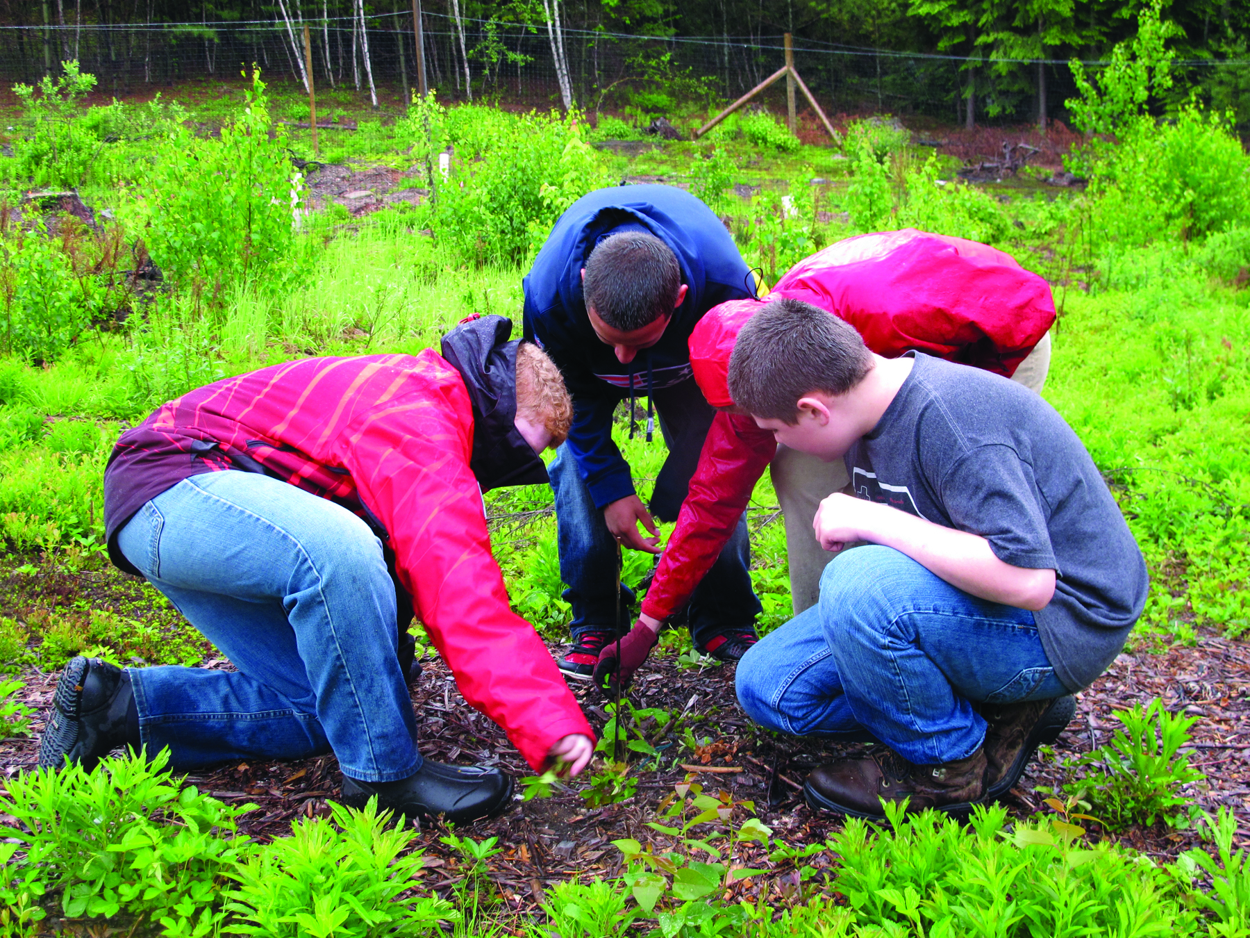 A group of 8th graders weed the vegetable beds at Otter Brook Farm on Stewardship Day. (photo © Brett Amy Thelen)