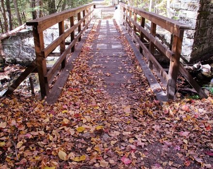 Eastview Trail footbridge in autumn. (photo © Brett Amy Thelen)
