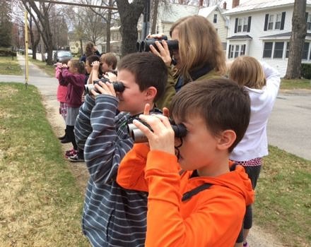 Kids look for neighborhood birds through binoculars.
