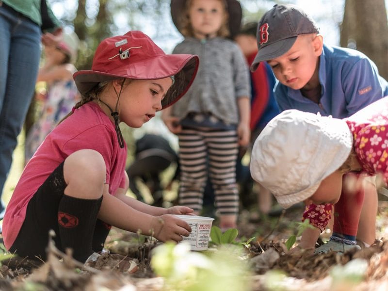 Young children explore the forest floor during a Harris Center outing. (photo © Ben Conant)