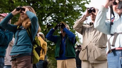 A group searches for birds -- with binoculars raised -- during a spring birding outing with the Harris Center. (photo © Ben Conant)