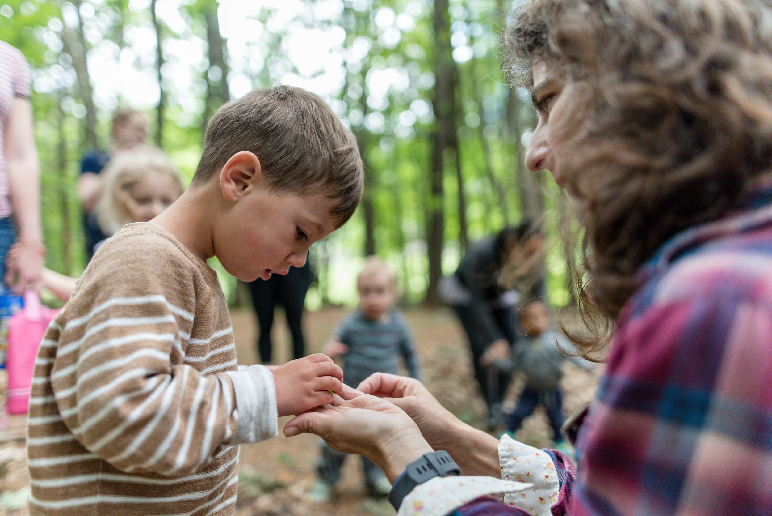 A young boy peers at something small held by Harris Center naturalist Susie Spikol. (photo © Ben Conant)