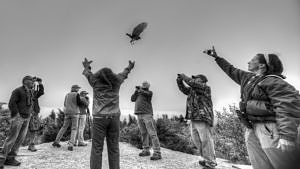 Wildlife rehabilitator Maria Colby releases a rehabilitated Broad-winged Hawk at the Pack Monadnock Raptor Observatory. (photo © Raven Digital)