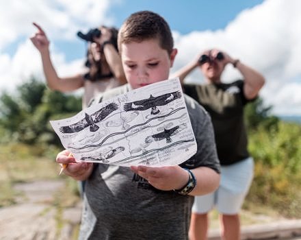 A boy studies drawings of hawk silhouettes on a Harris Center hawkwatching outing. (photo © Ben Conant)