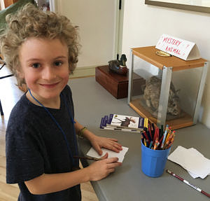 A camper uses a field guide to identify a "mystery (taxidermied) animal." 