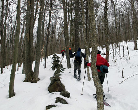 A group of hikers snowshoe uphill along a stone wall. (photo © Russ Cobb)