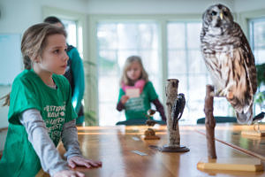Girls look closely at taxidermied birds. (photo © Ben Conant)
