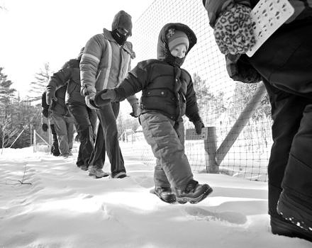 A line of children and their parents practice "walking like a wolf" through the snow during a Harris Center tracking program. (photo © Bill Gnade)