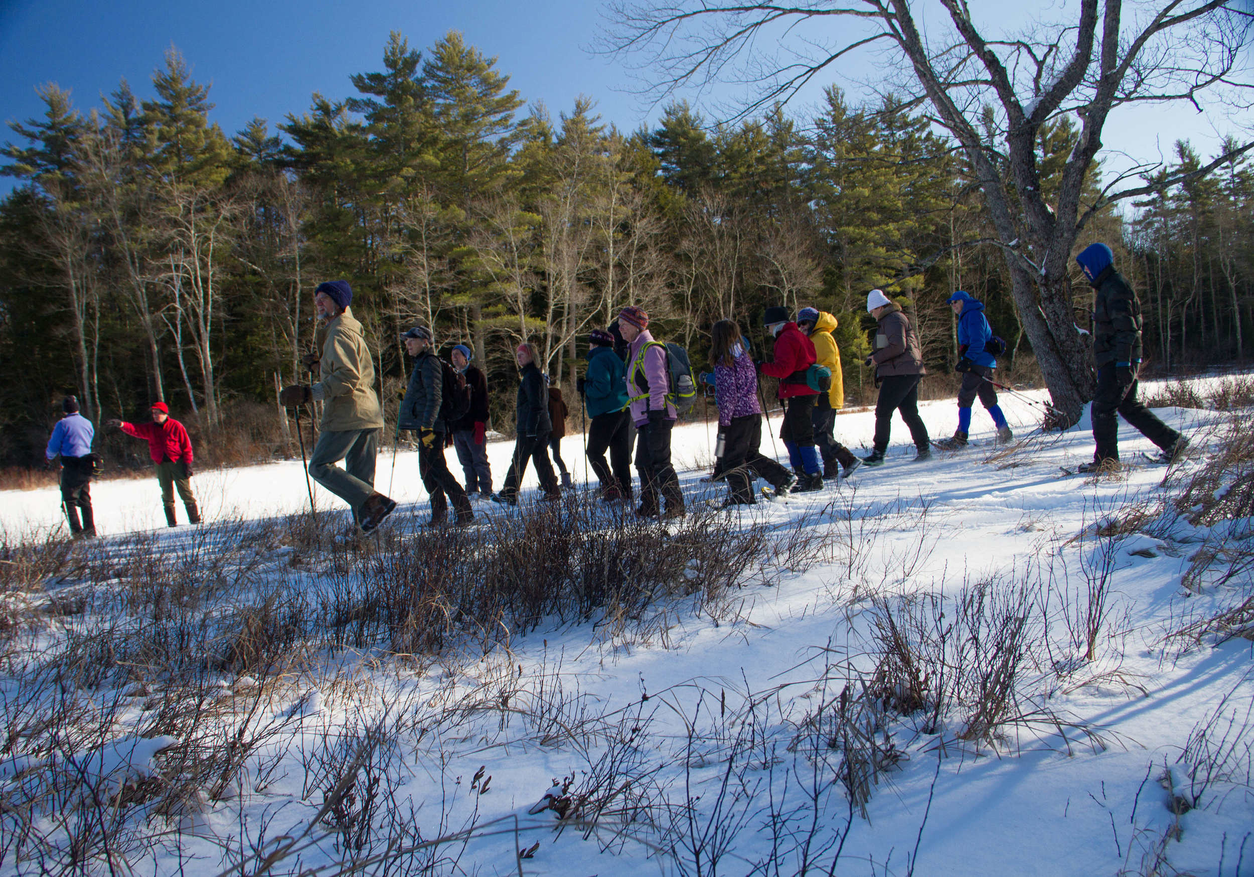 A group of hikers explore the Hiroshi Land in winter. (photo © Laurel Swope-Brush)