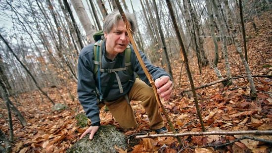 Scott Semmens searches for animal sign in the woods. (photo © Bill Gnade / Keene Sentinel)