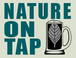 Nature on Tap logo, featuring a leaf in a mug of beer