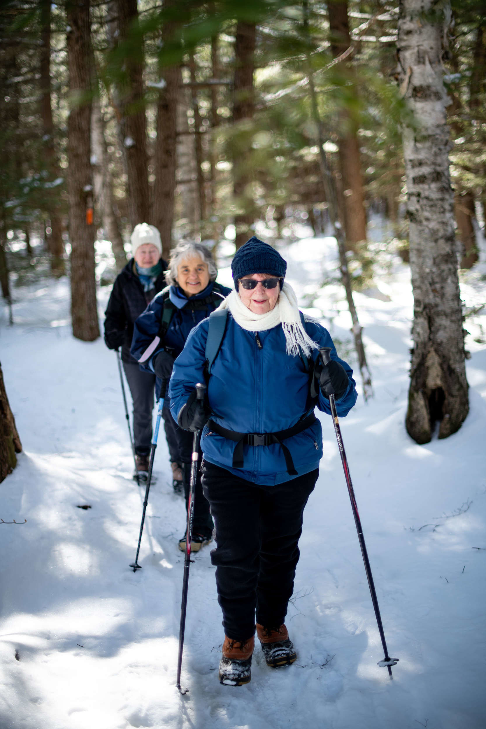 Winter hikers on the Harris Center's Hiroshi Loop Trail. (photo © Ben Conant)