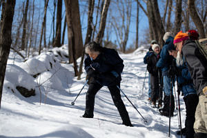 A group examines animal tracks on a winter hike at the Harris Center's Hiroshi Land. (photo © Ben Conant)
